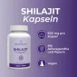 Shilajit Kapseln Naturecan 2