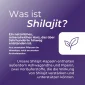 Shilajit Kapseln Naturecan 3